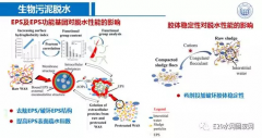 戴晓虎：有机固废资源化，我们还能做得更好